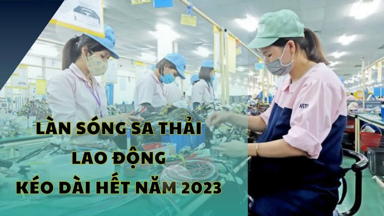 Ảnh podcast Ảnh podcast