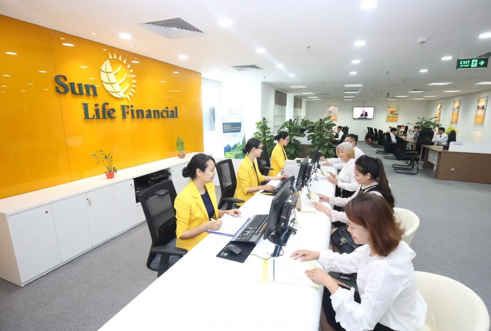 Thanh tra Prudential, MB Ageas, Sun Life và BIDV Metlife phát hiện loạt sai phạm