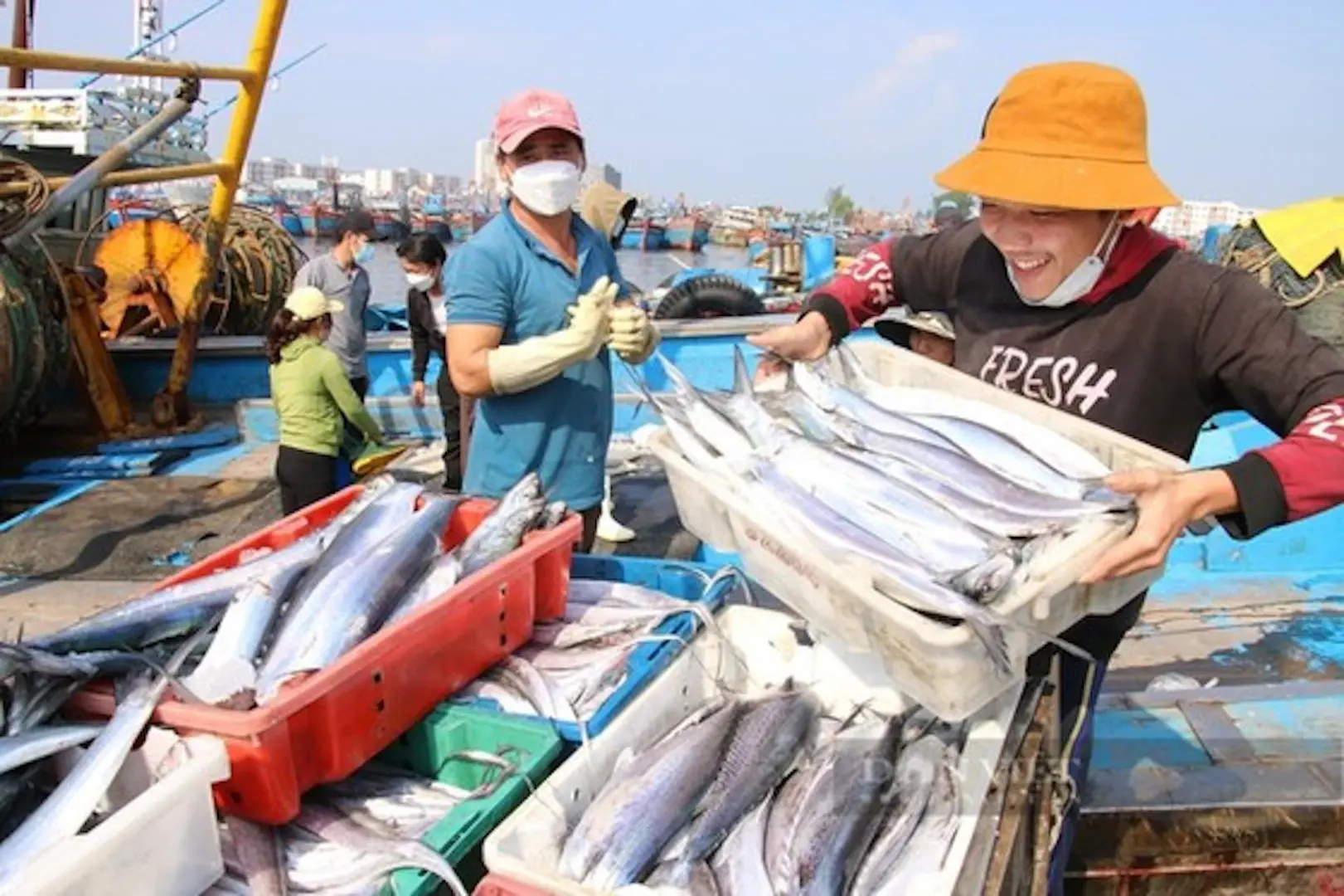 Nỗ lực tháo gỡ "thẻ vàng" cho hải sản khai thác của Việt Nam