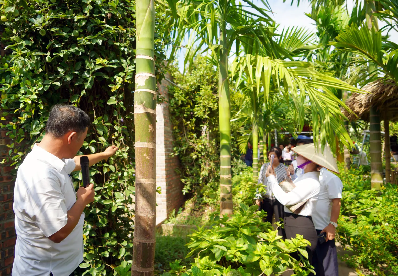 Hà Nội, hỗ trợ địa phương phát triển du lịch nông nghiệp nông thôn 