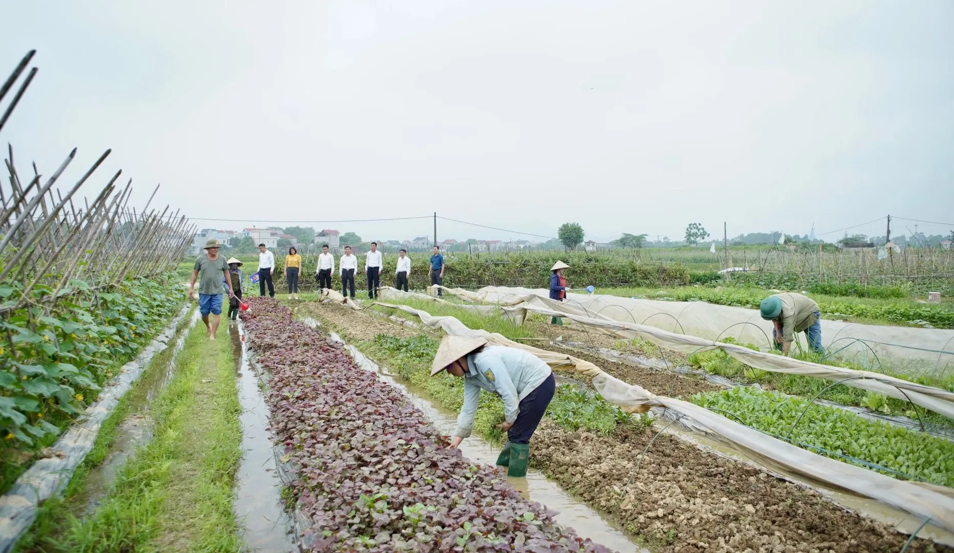 Huyện Sóc Sơn: Chuyển mục đích sử dụng đất nông nghiệp xen kẹt sang thương mại