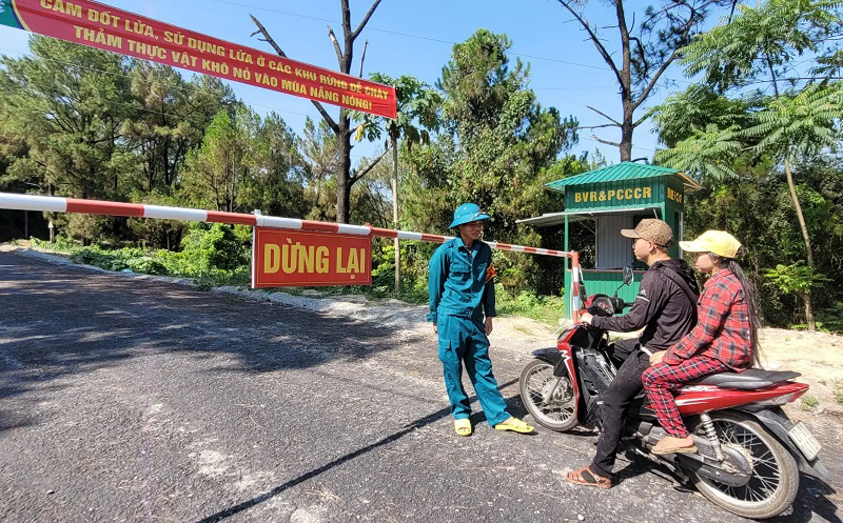 Hà Tĩnh: Tăng cường các biện pháp cấp bách phòng cháy, chữa cháy rừng