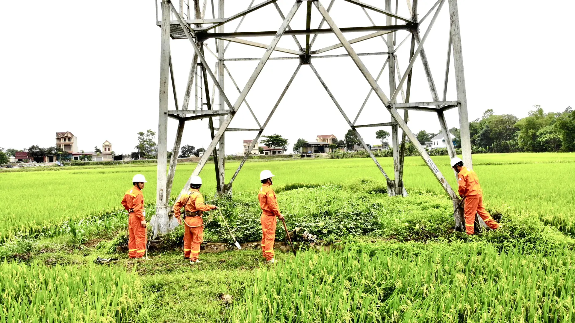 Công bố loạt vi phạm của lãnh đạo EVN, PVN, TKV về cung ứng điện