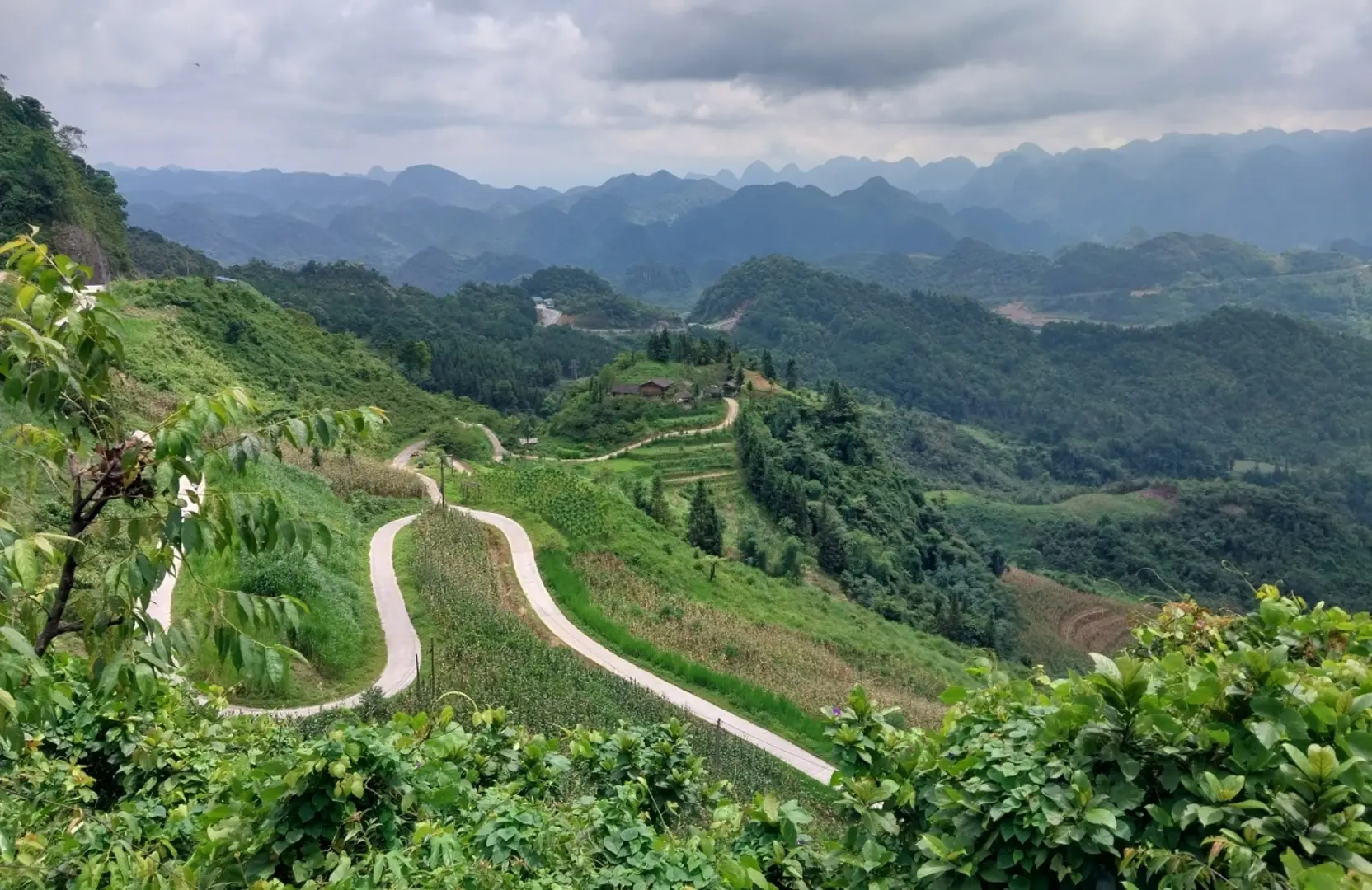 Trả lại màu xanh cho cao nguyên đá Hà Giang