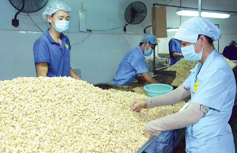 Bộ Công Thương cảnh báo nguy cơ doanh nghiệp Việt bị lừa xuất khẩu sang UAE