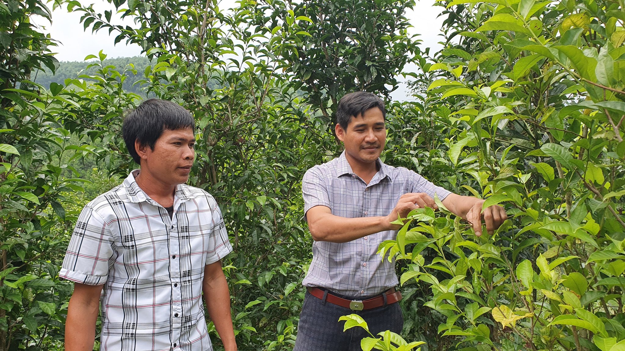 Quảng Ngãi: Thanh niên miền núi khởi nghiệp với sản phẩm địa phương