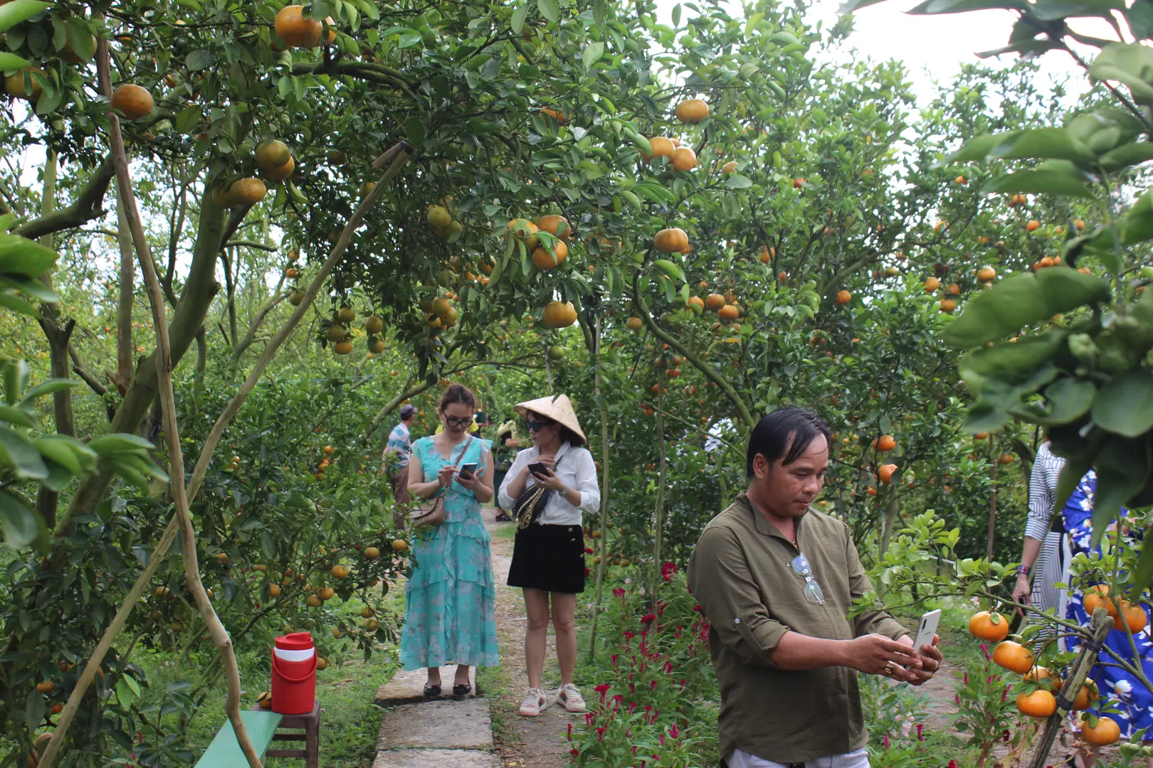 Đồng Tháp: Đẩy mạnh phát triển du lịch nông nghiệp