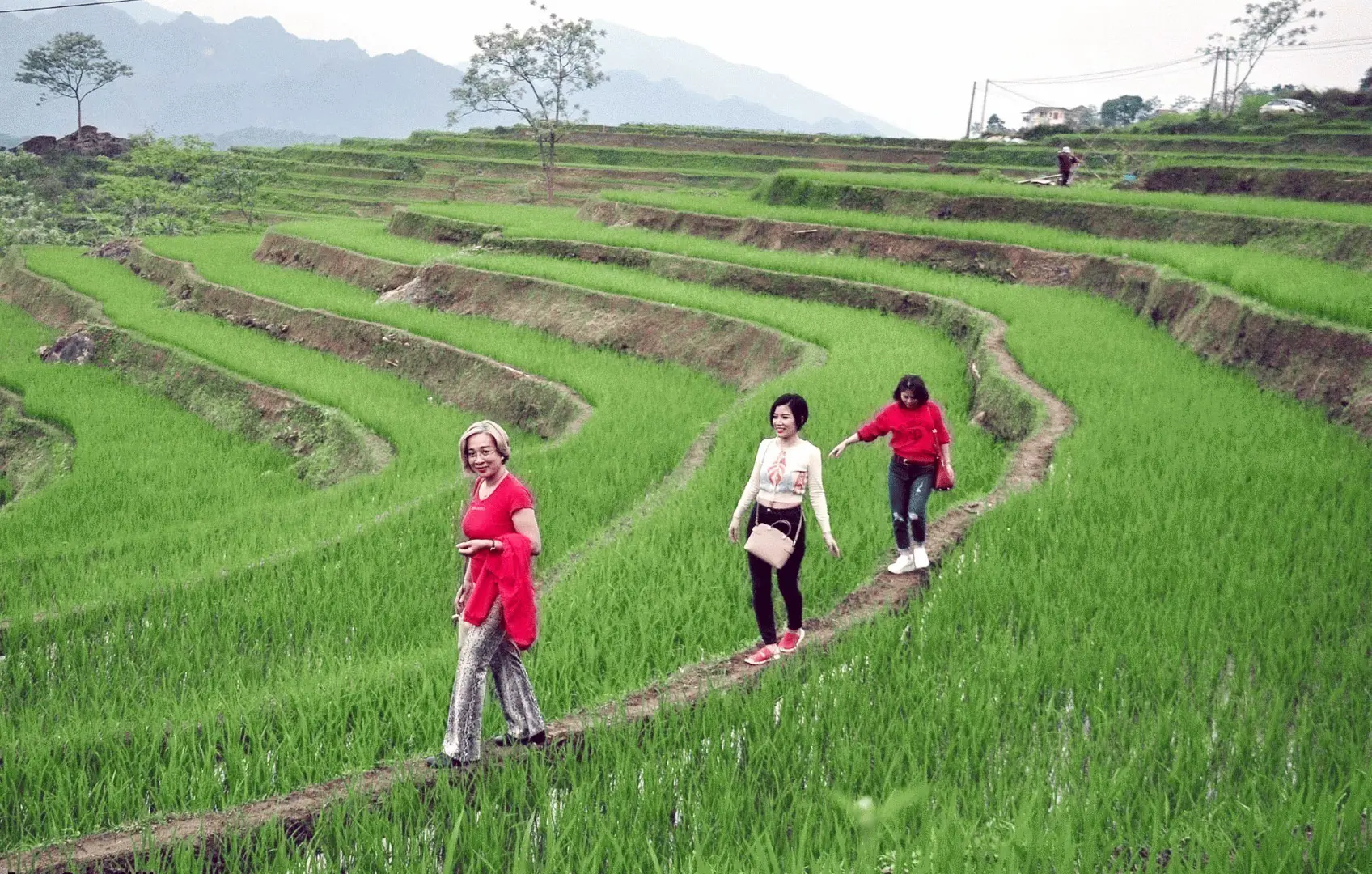 Nghỉ lễ 2/9, tour du lịch bắt đầu “nóng” từng giờ