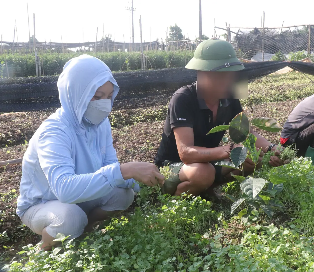 Quận Bắc Từ Liêm: Giúp người sau cai nghiện ma túy hòa nhập cộng đồng