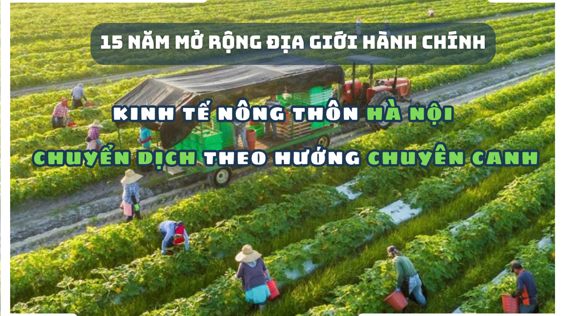 Kinh tế nông thôn Hà Nội chuyển dịch theo hướng chuyên canh