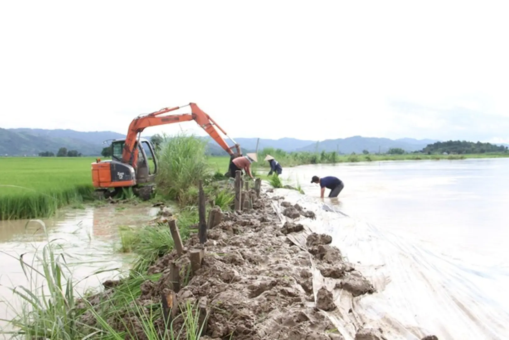 Chủ động ứng phó mưa lũ lớn tại nhiều vùng miền trên cả nước