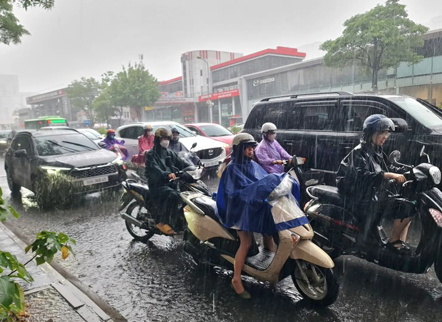 Dự báo thời tiết ngày 16/9/2023: Hà Nội mưa rào, có thể xuất hiện lốc sét