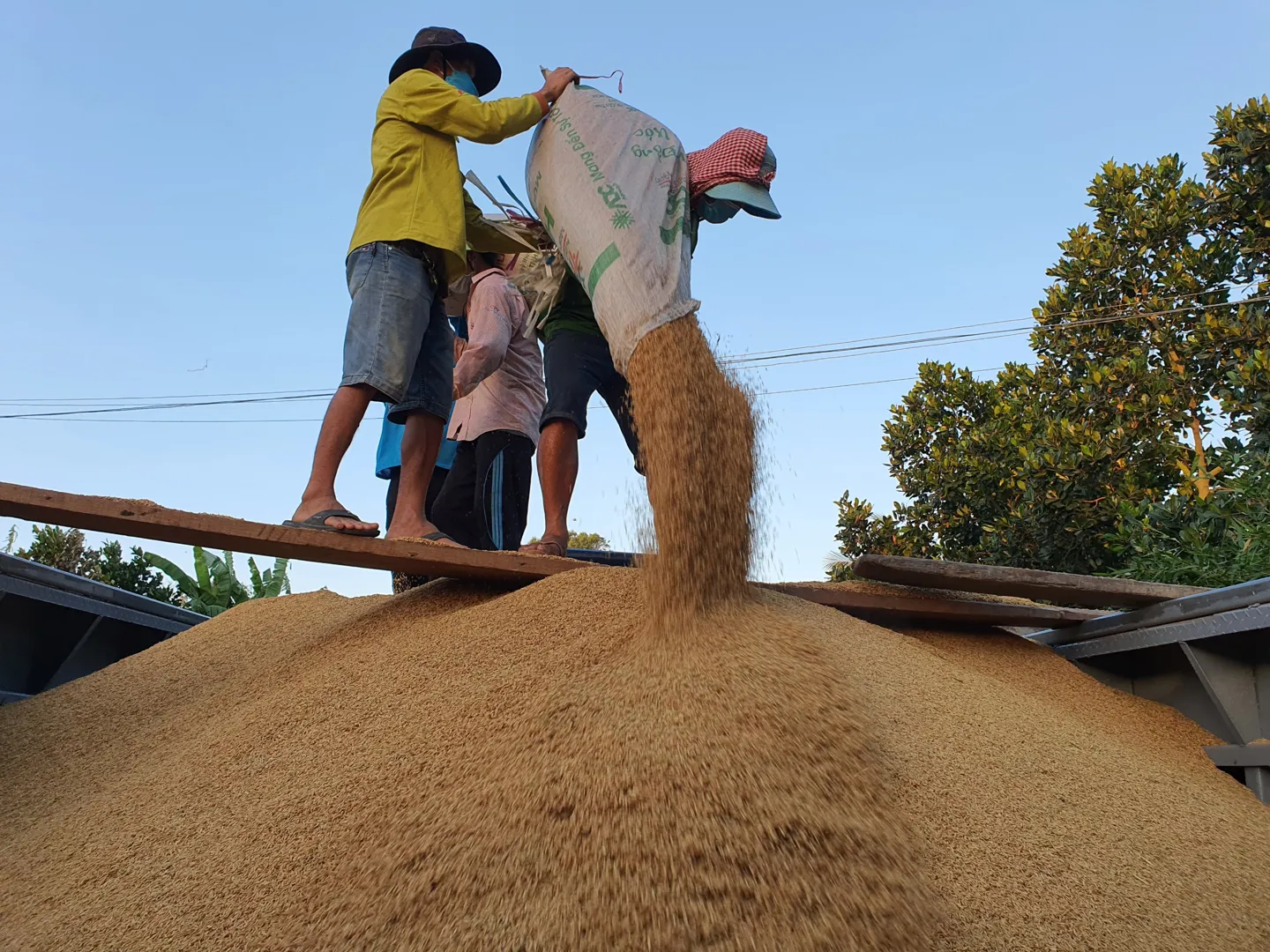 Doanh nghiệp lúa gạo, thủy sản kiến nghị linh hoạt hỗ trợ tín dụng