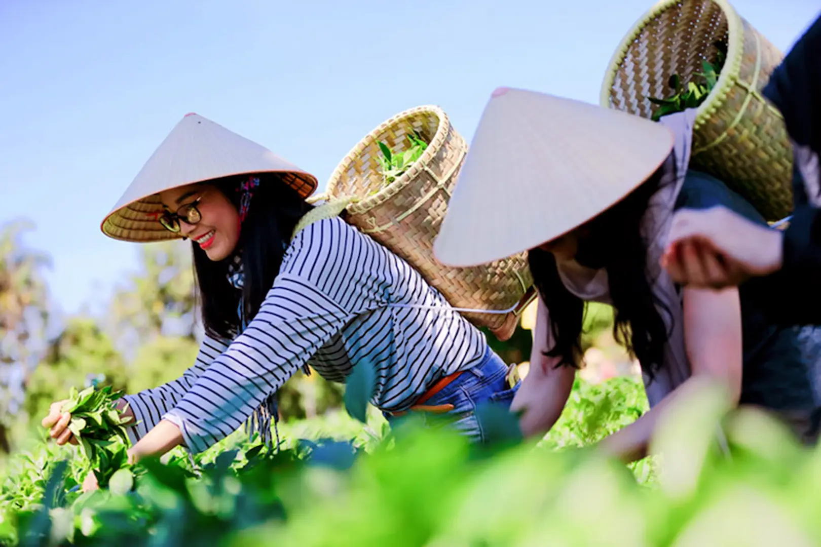 Mỗi địa phương cần có sản phẩm du lịch nông thôn đặc trưng