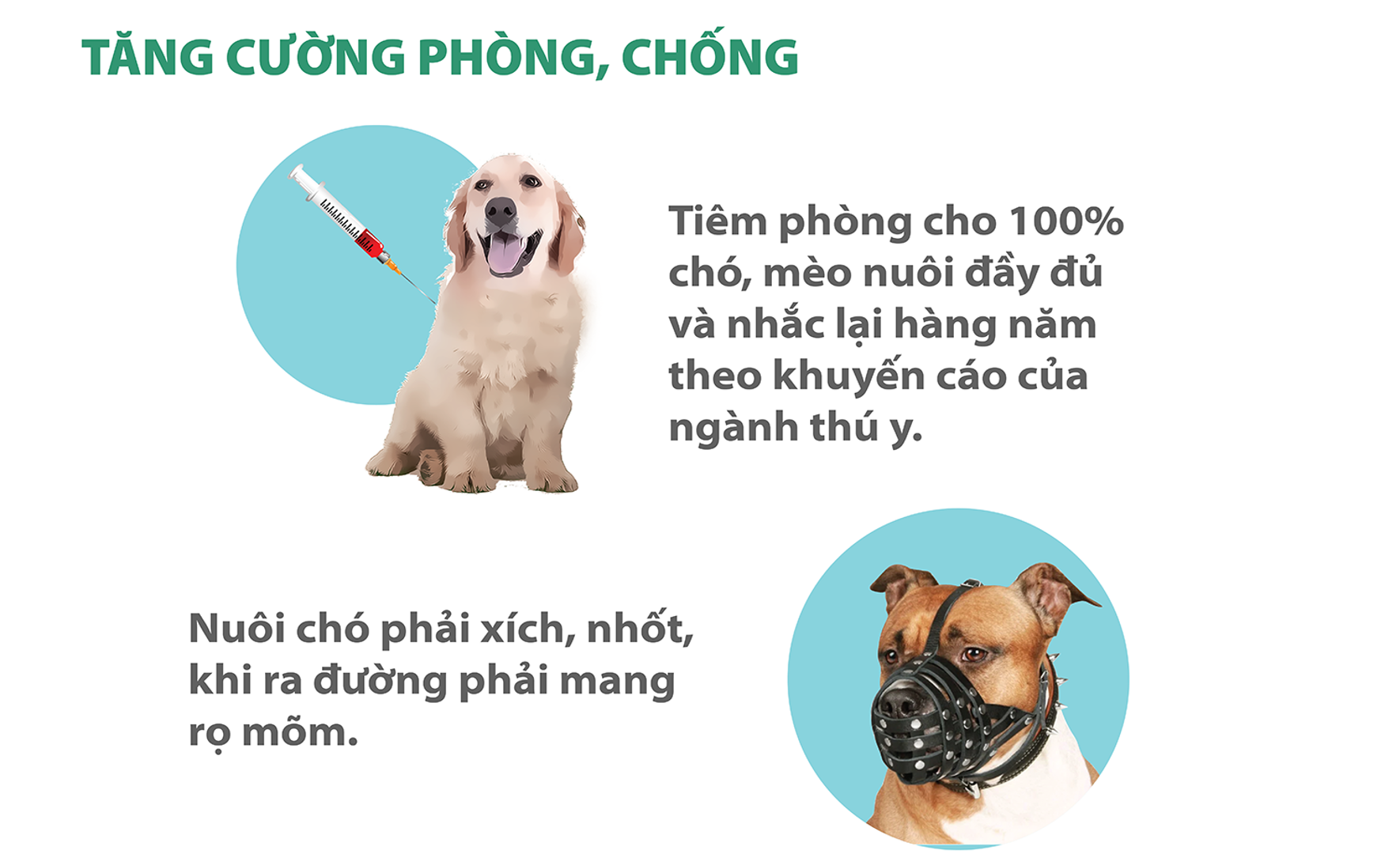 Tuyệt đối không chủ quan với bệnh dại