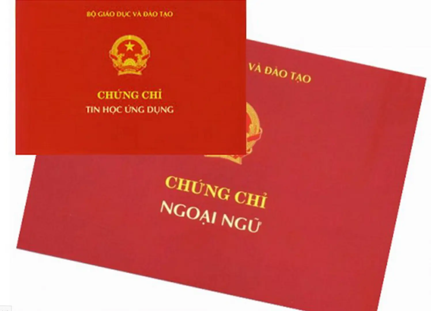 Tăng cường thanh, kiểm tra việc liên kết tổ chức thi cấp chứng chỉ ngoại ngữ