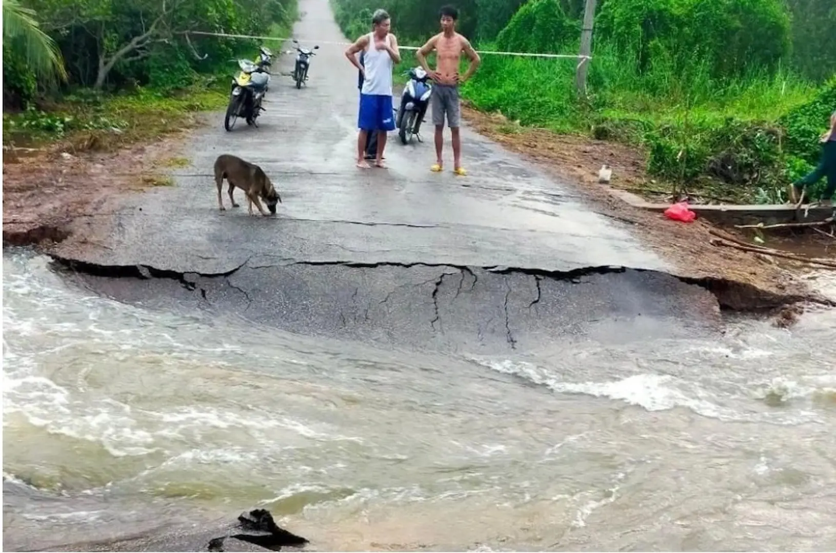 Bình Phước: Mưa lũ gây sập cầu, cống, giao thông chia cắt tại huyện Đồng Phú