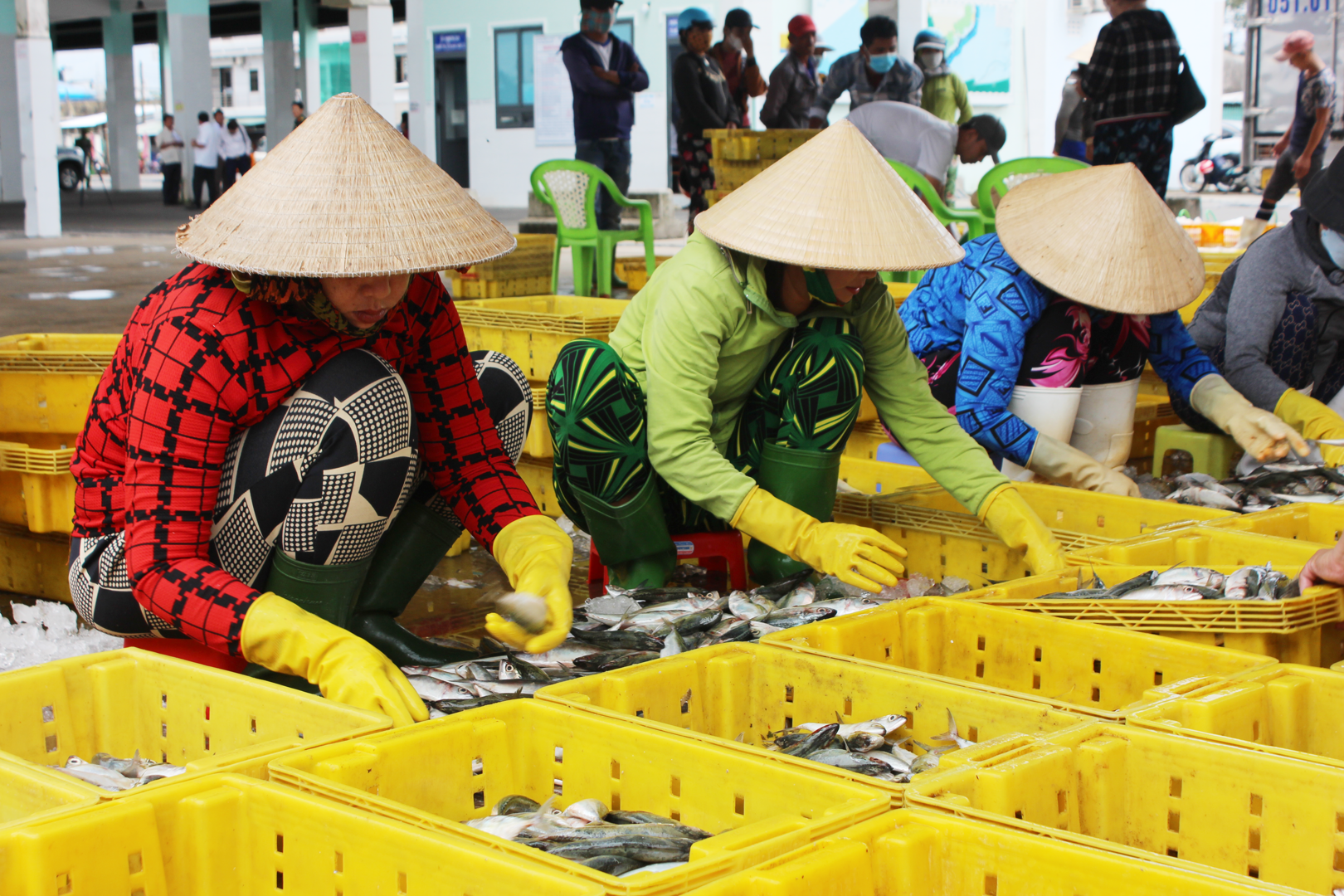 Kiên Giang: Tập trung nguồn lực gỡ thẻ vàng EC