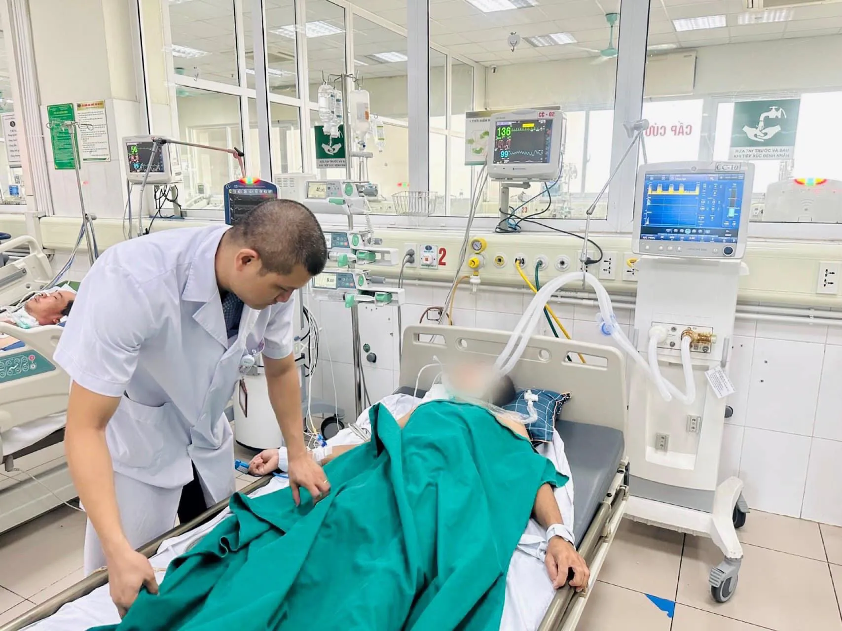 Người đàn ông nguy kịch sau khi bị mèo cắn