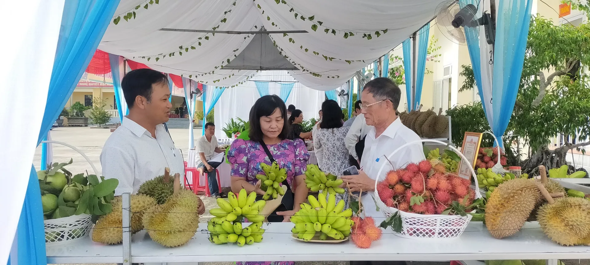 Phát triển vùng chuyên canh cây ăn quả, thuận lợi và thách thức đan xen