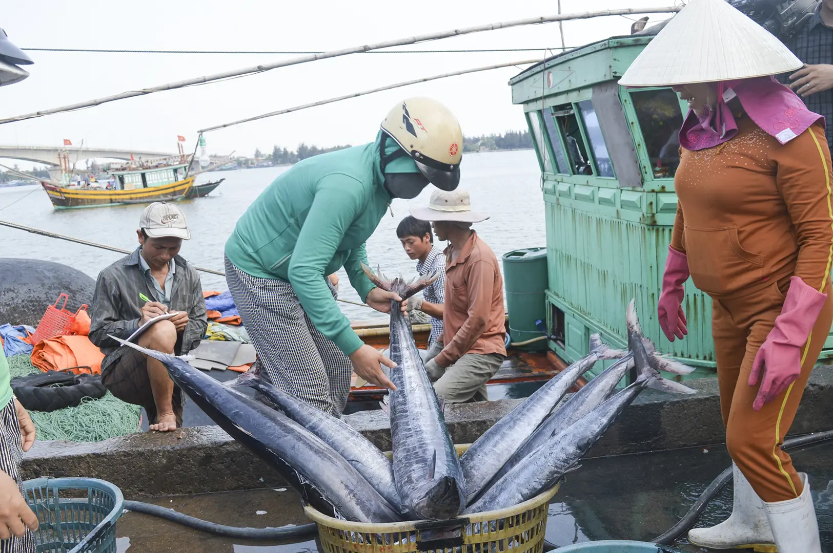 Quyết tâm hành động trong chống khai thác IUU