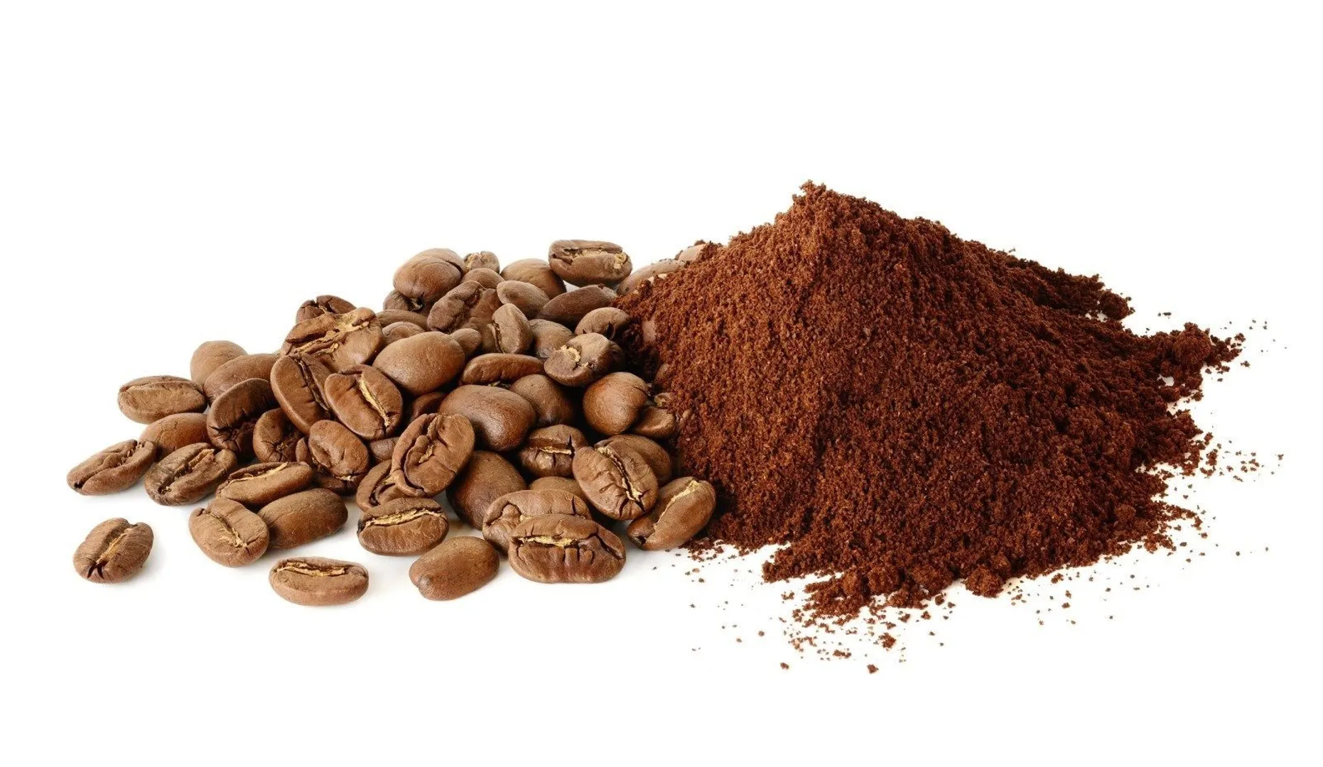 Giá cà phê hôm nay 14/10: Arabica tăng mạnh, trong nước gần 64.000 đồng/kg