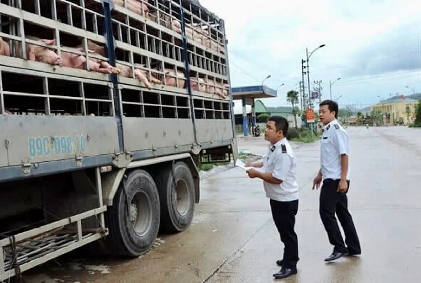 Gia tăng tình trạng nhập lậu động vật, cần xem xét trách nhiệm người đứng đầu