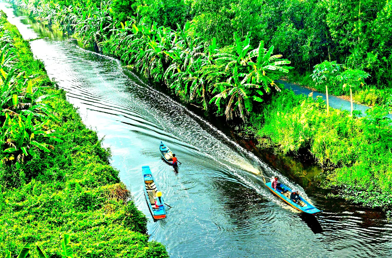 Ngọt ngào hương rừng U Minh Hạ