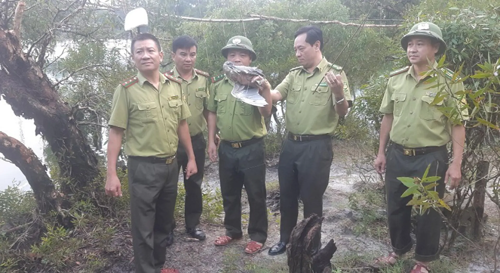 Hà Tĩnh: Ngăn chặn săn bắt chim di cư, tại sao khó triệt để?