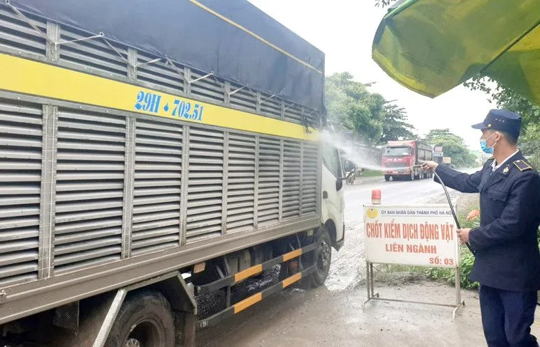 Hà Nội: Siết chặt vận chuyển gia súc, gia cầm không rõ nguồn gốc