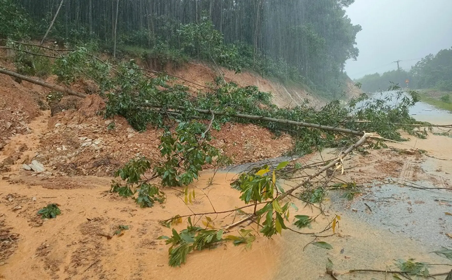 Hà Tĩnh: Chủ động ứng phó mưa lũ, sạt lở đất nghiêm trọng