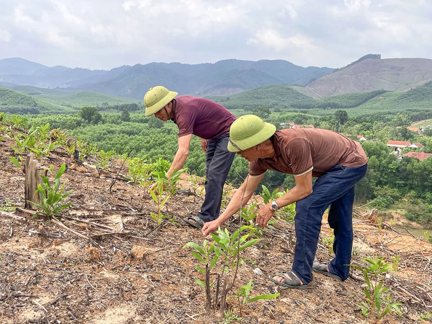 Quảng Bình: Sống bên núi đồi nhưng vẫn thiếu đất trồng rừng sản xuất