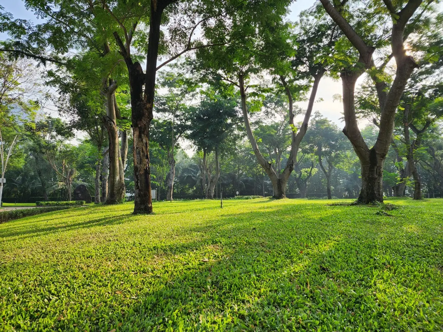 TP Hồ Chí Minh: Đẹp và lãng mạn những ngày cuối thu 