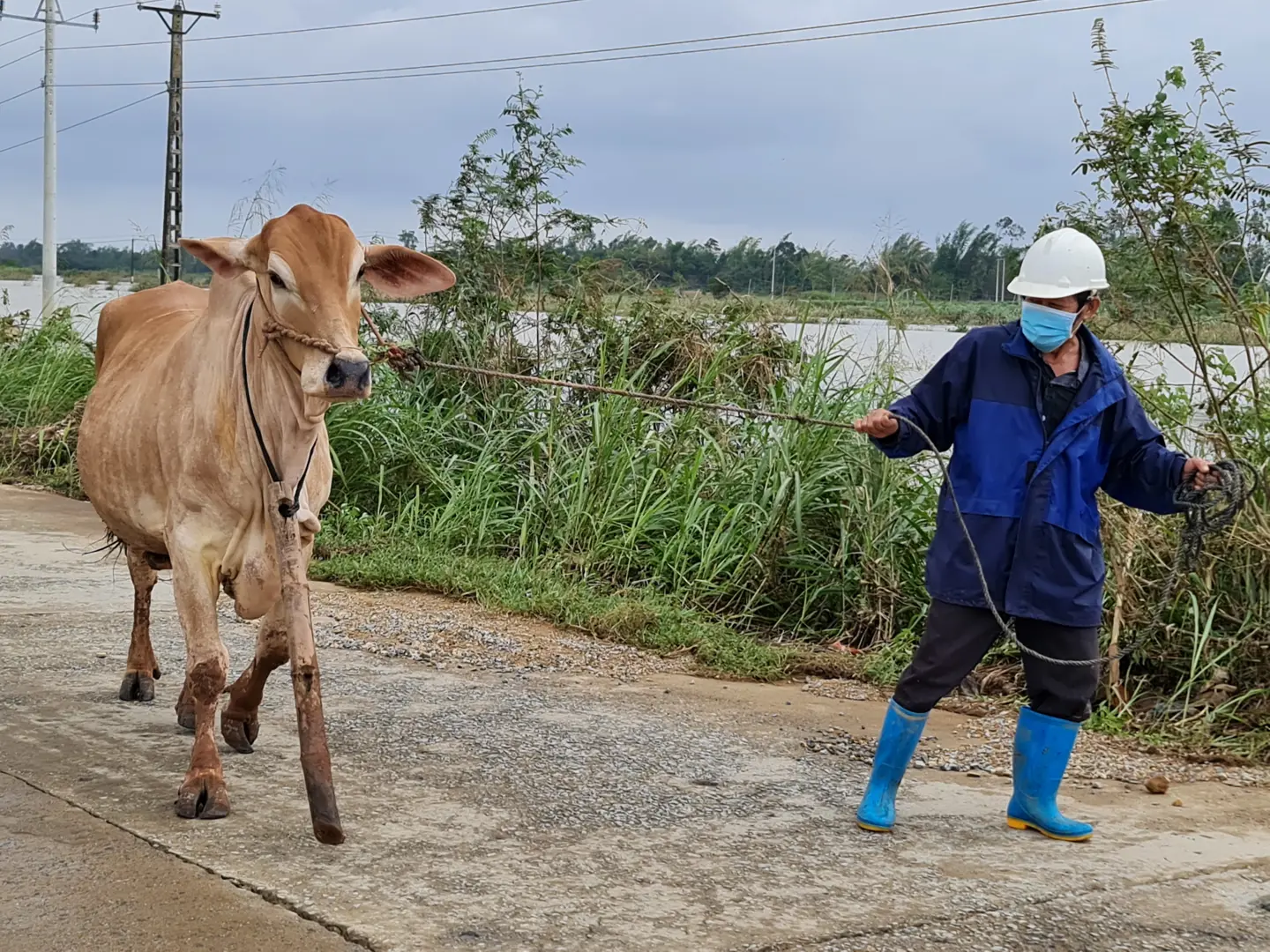 Quảng Ngãi: Sạt lở do nước lũ ngày càng nghiêm trọng