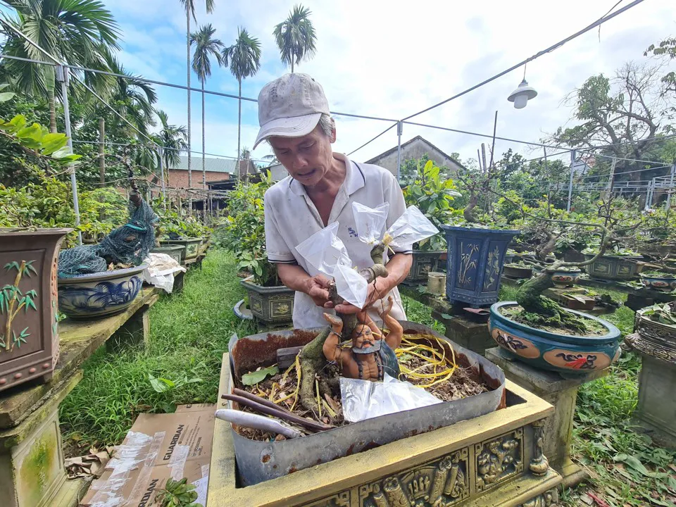 Phát triển kinh tế từ sinh vật cảnh