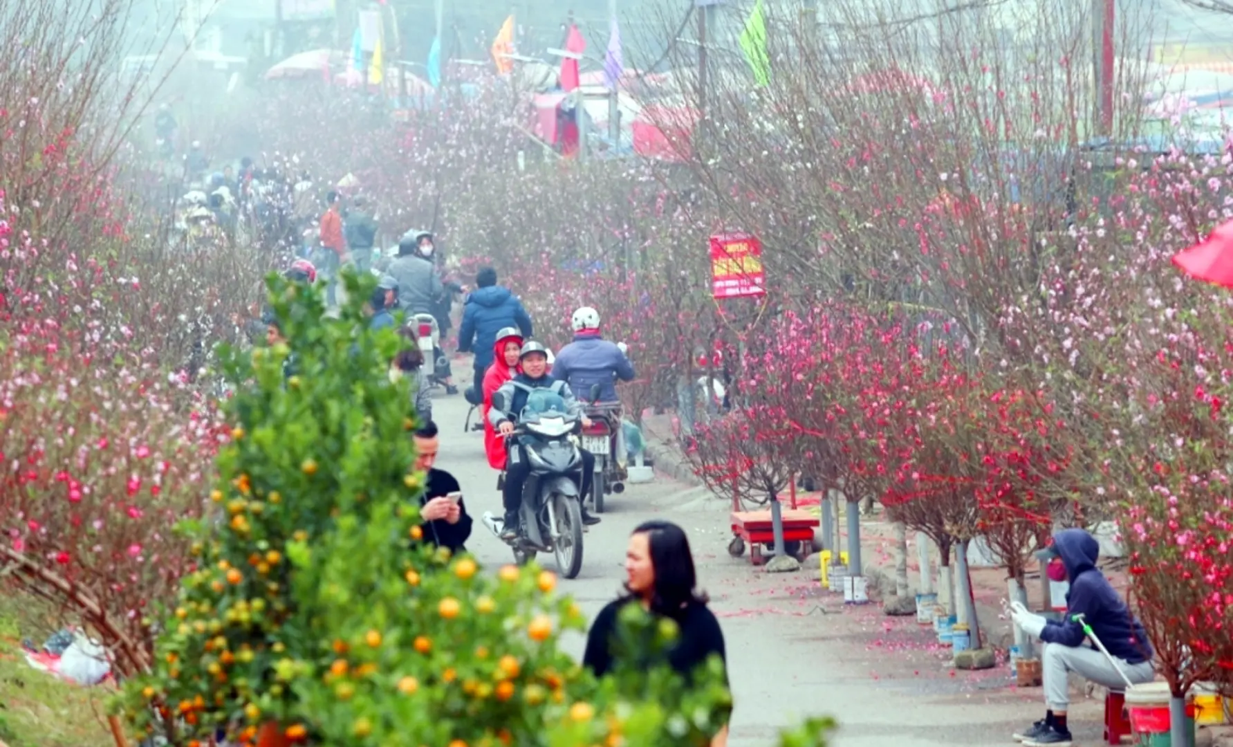 Bảo đảm trật tự, an toàn giao thông dịp Tết và lễ hội xuân 2024