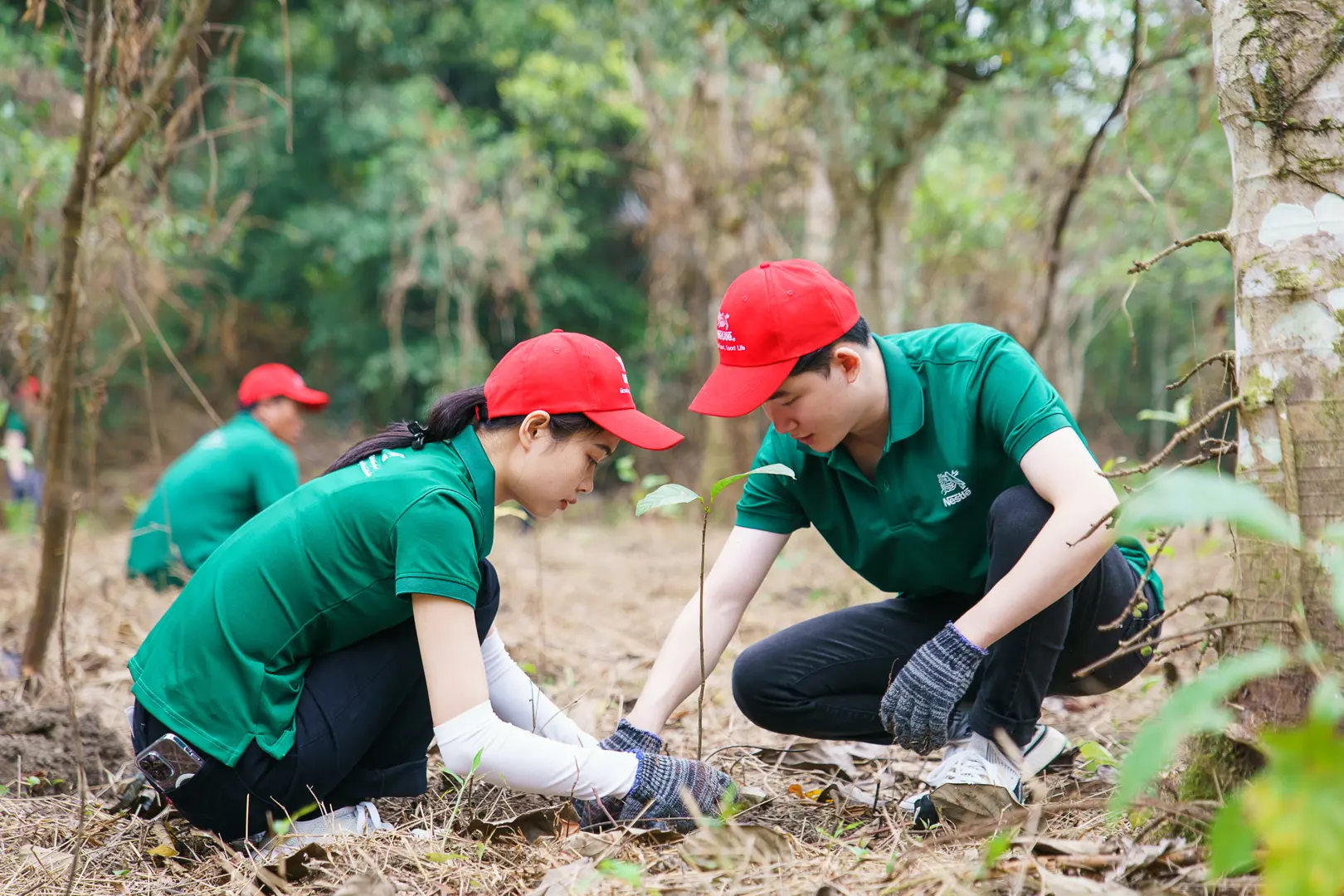 Gỡ khó để thúc đẩy chuyển đổi xanh