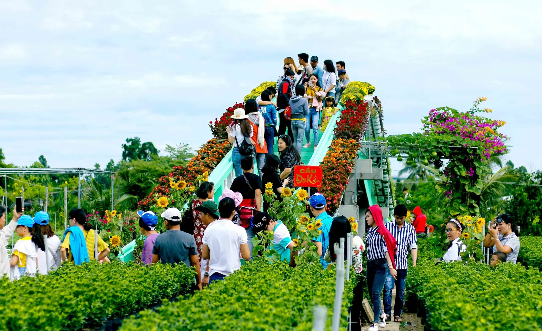 Festival hoa – kiểng Sa Đéc “tình đất – tình hoa”