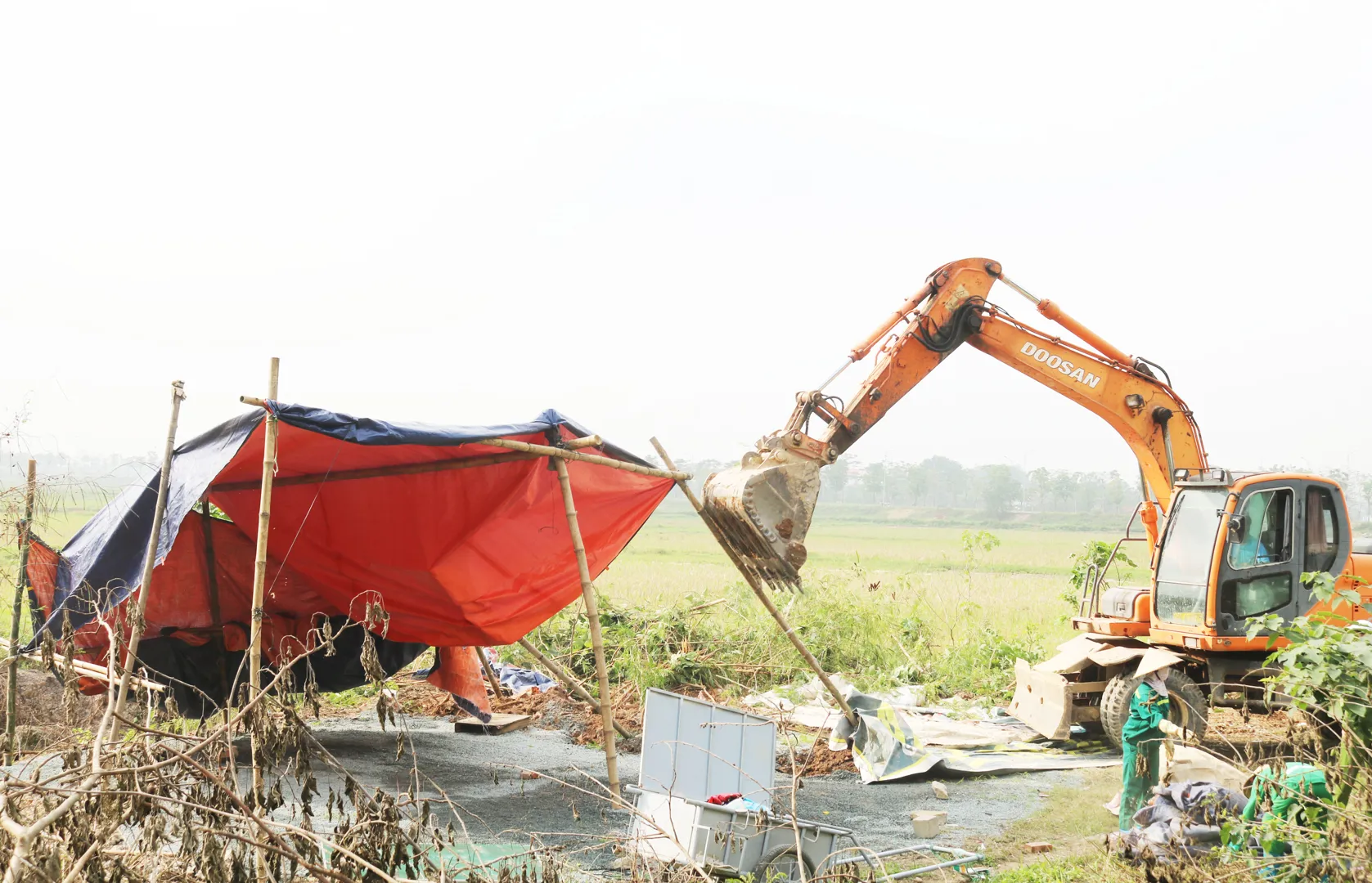 Huyện Quốc Oai ra quân “xóa xổ” điểm bán chim hoang dã