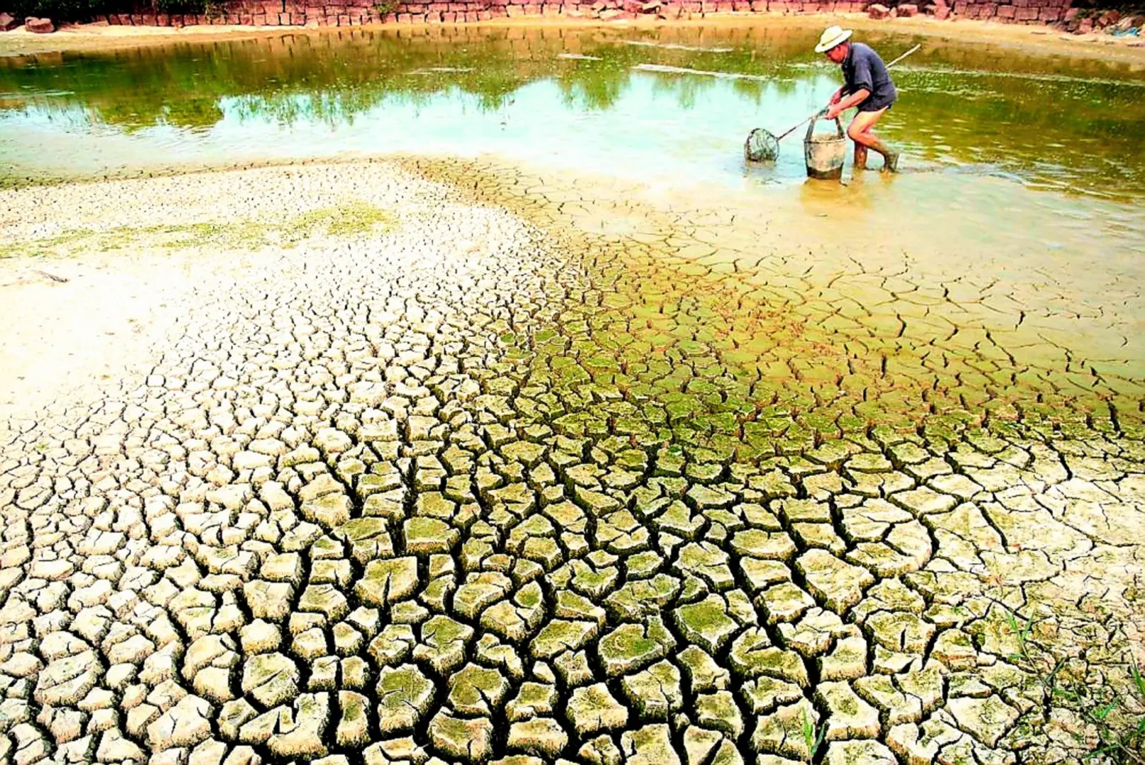 Thủ tướng Chính phủ yêu cầu ứng phó với nguy cơ hạn hán, xâm nhập mặn