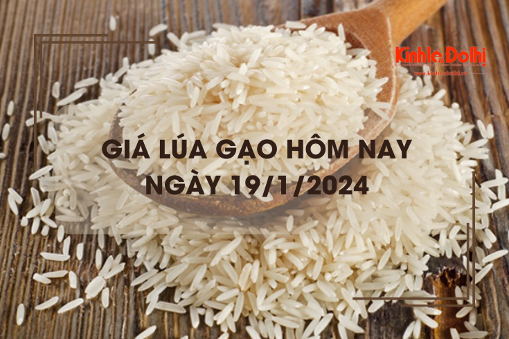 Giá lúa gạo hôm nay 19/1/2024: Thị trường lặng sóng