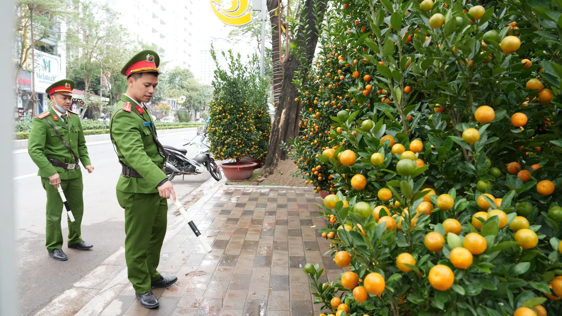 Tây Hồ: Đảm bảo an ninh trật tự tại các khu chợ hoa