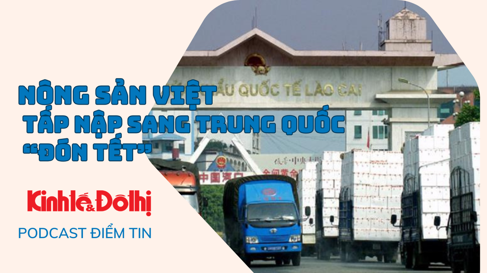 Nông sản Việt tấp nập sang Trung Quốc “đón Tết”