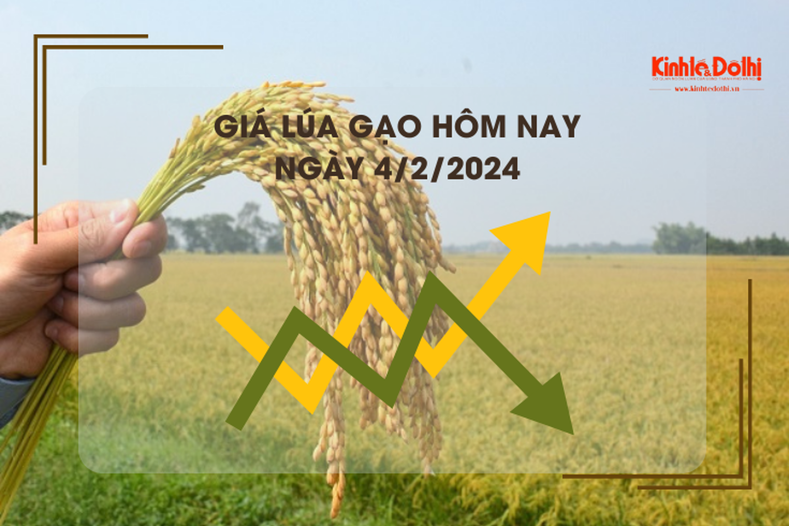 Giá lúa gạo hôm nay 4/2/2024: Giá gạo xuất khẩu giảm nhẹ 2 – 3 USD/tấn