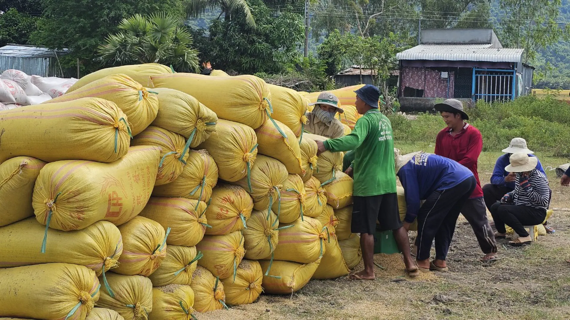 Kỳ vọng chuyển mình của đồng bằng sông Cửu Long