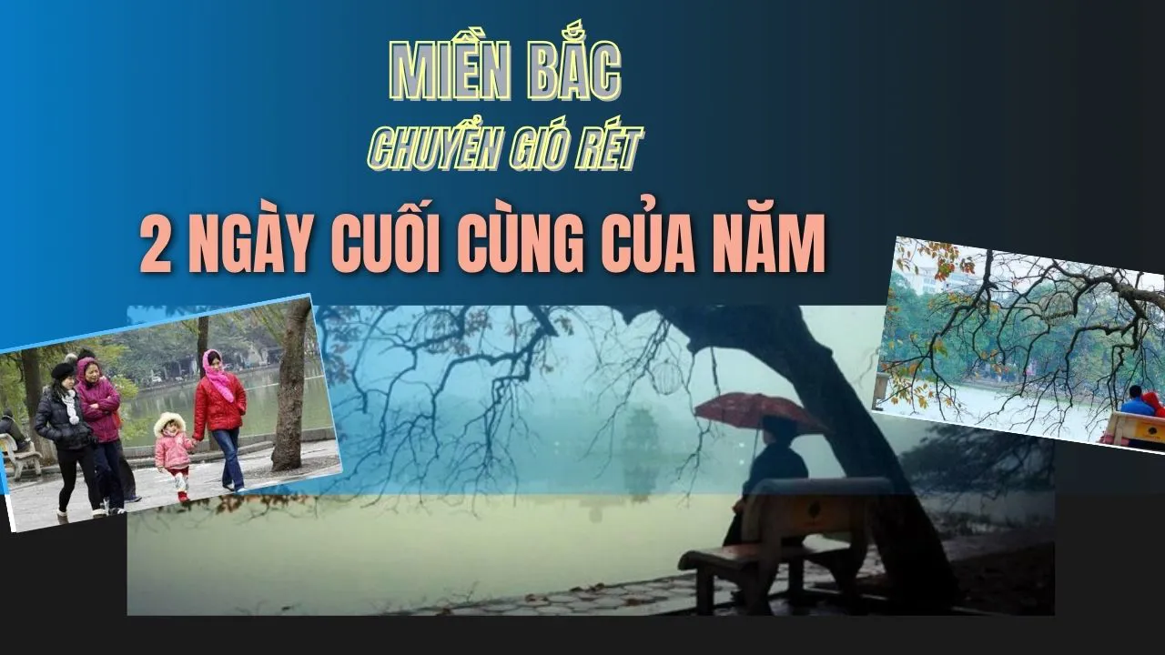 Ảnh podcast Ảnh podcast