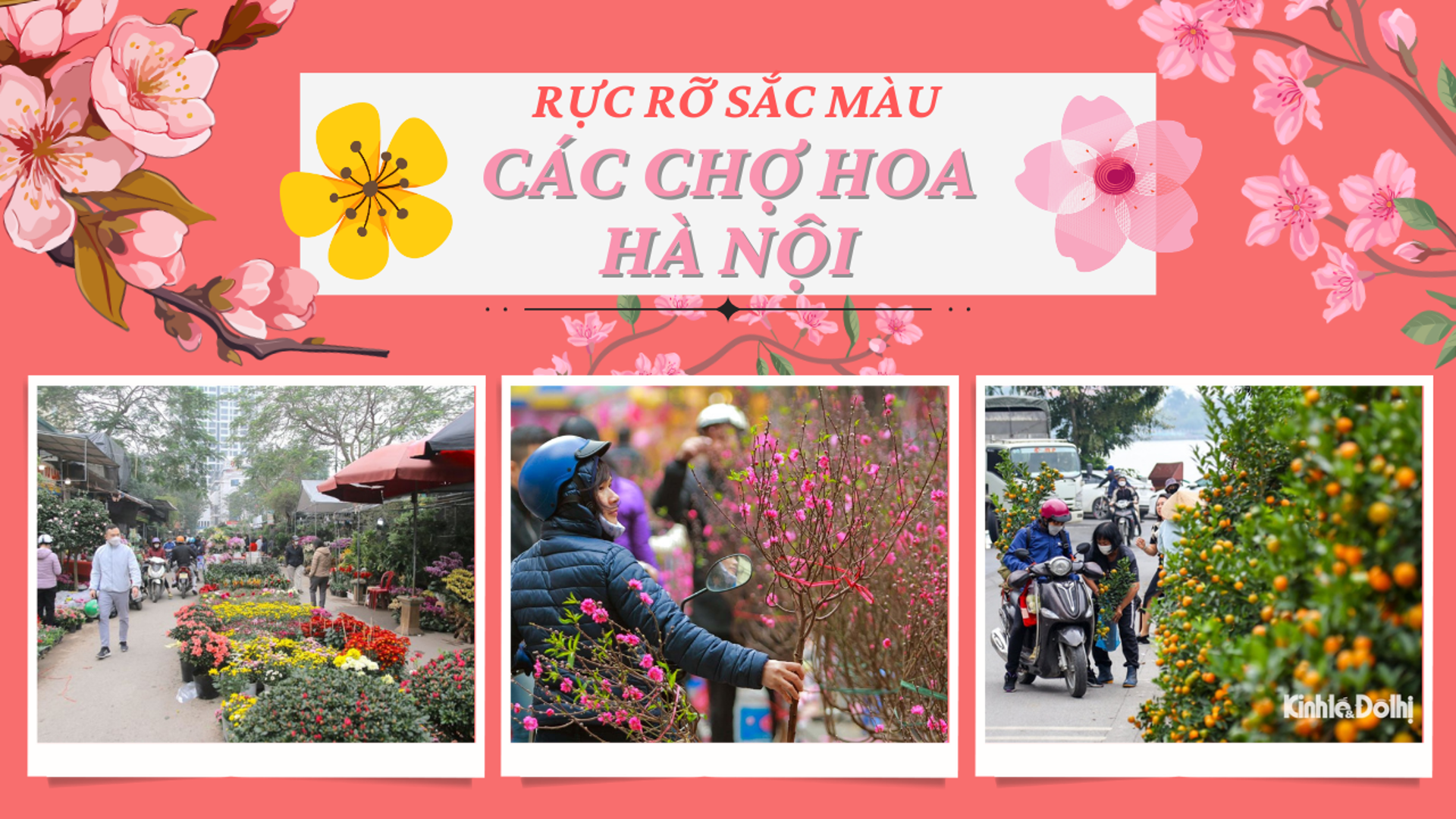 Đường phố Hà Nội rực rỡ sắc hoa đón Tết