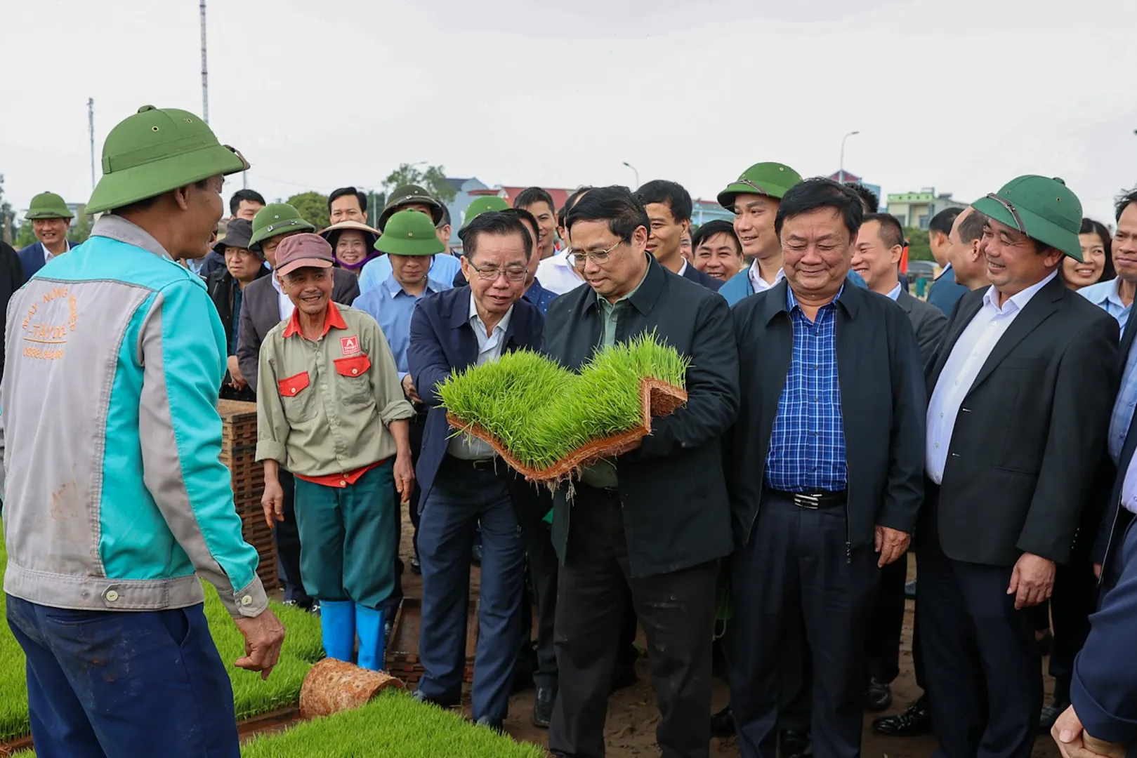 Thủ tướng xuống đồng cấy lúa, thu hoạch cà rốt cùng nông dân