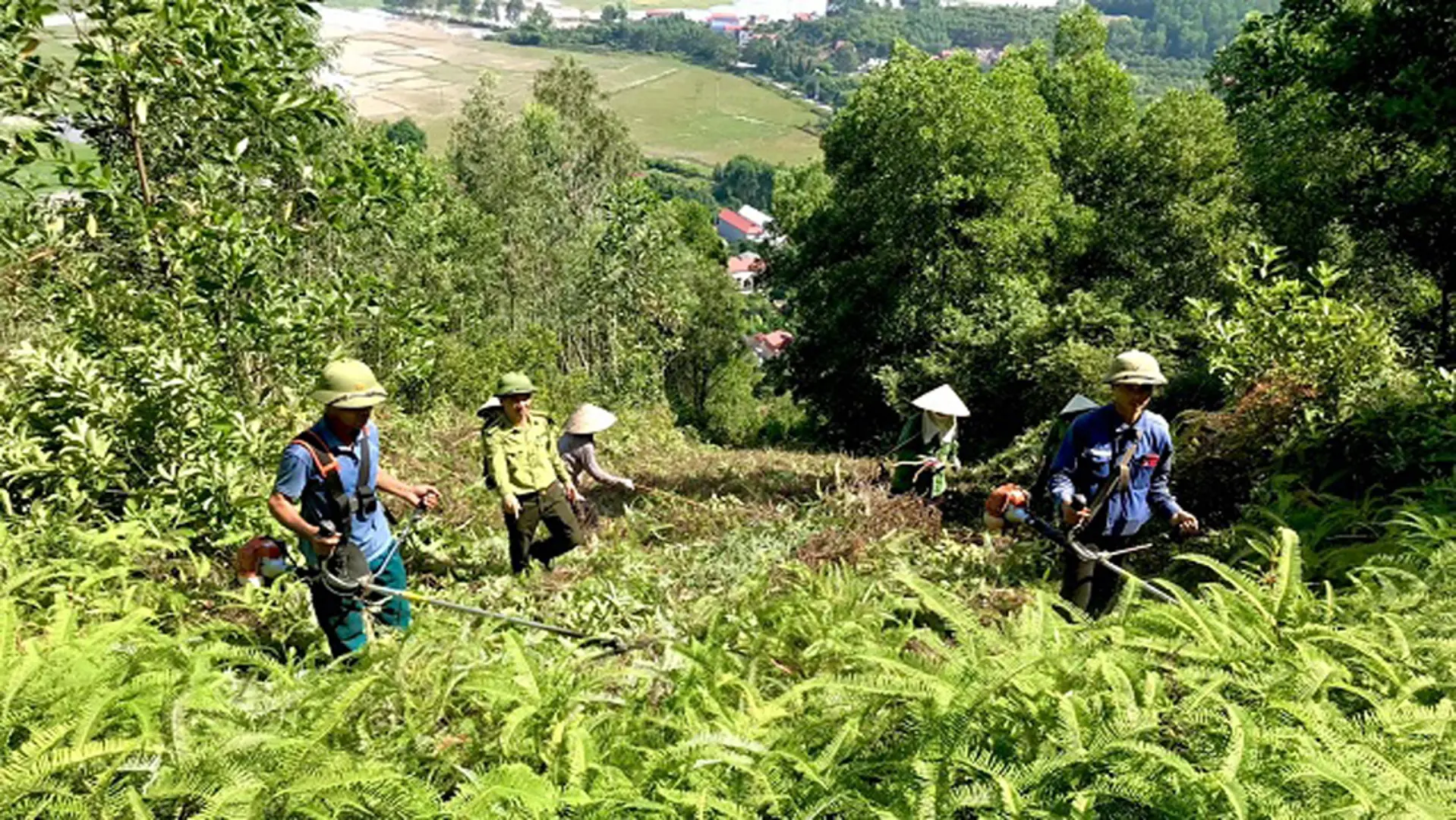 Bắc Giang: Cảnh báo nguy cơ xảy ra cháy rừng ở tất cả các địa phương