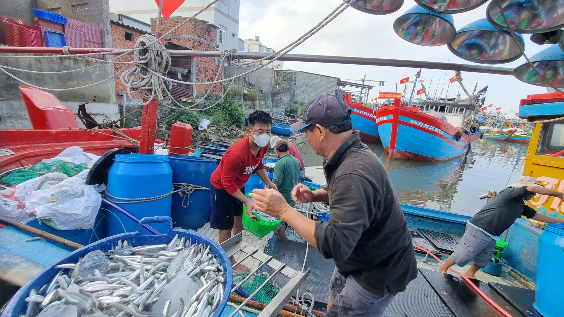 Một đêm ra khơi,  ngư dân "bỏ túi" từ vài chục triệu đến trăm triệu đồng